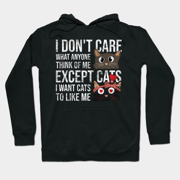 I Dont Care What Anyone Think Of Me Expect Cats I Want Cats To Like Me Hoodie by Rishirt